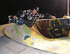 Vic park bowl skating